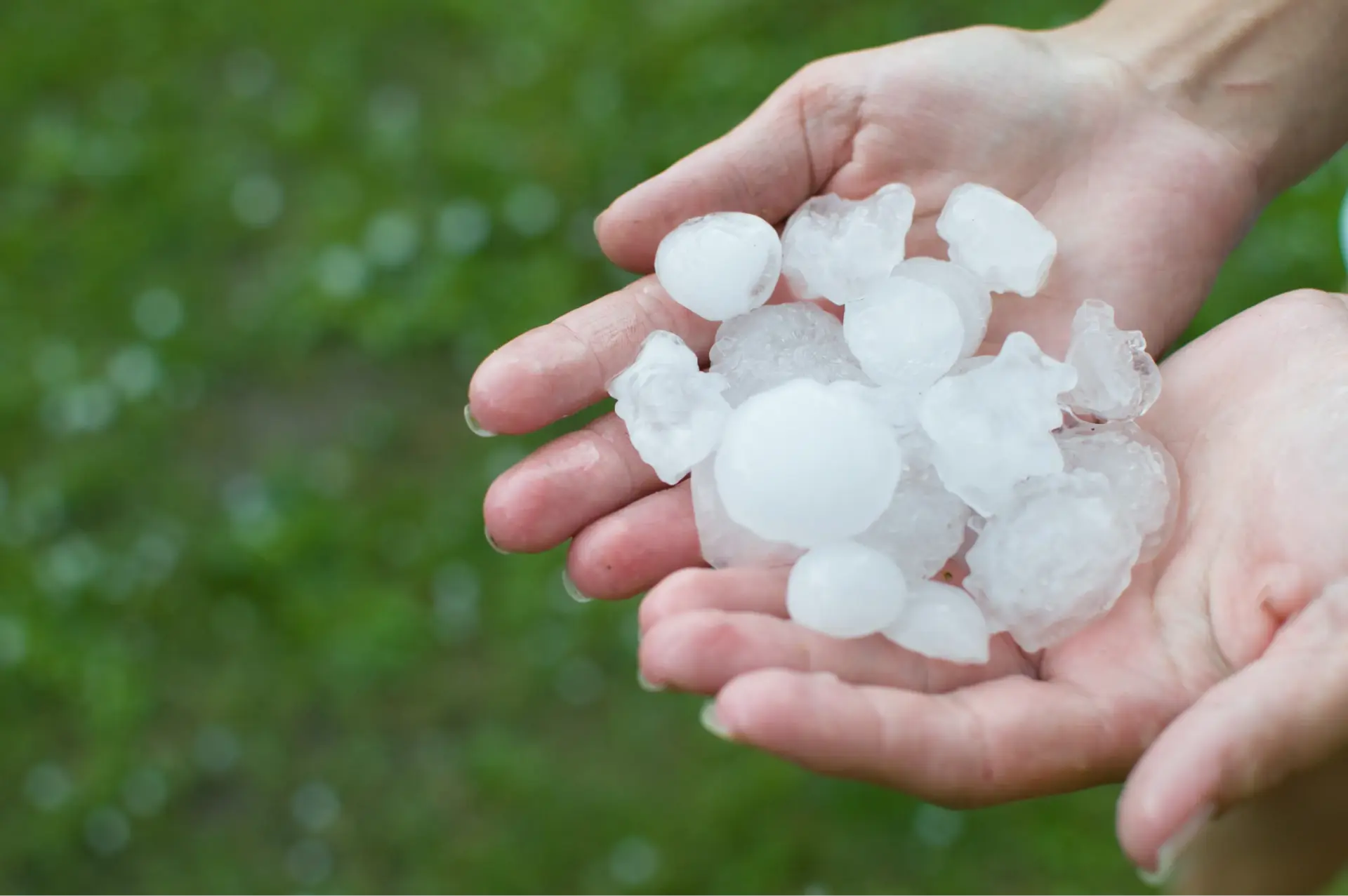 A handful of large hailstones.